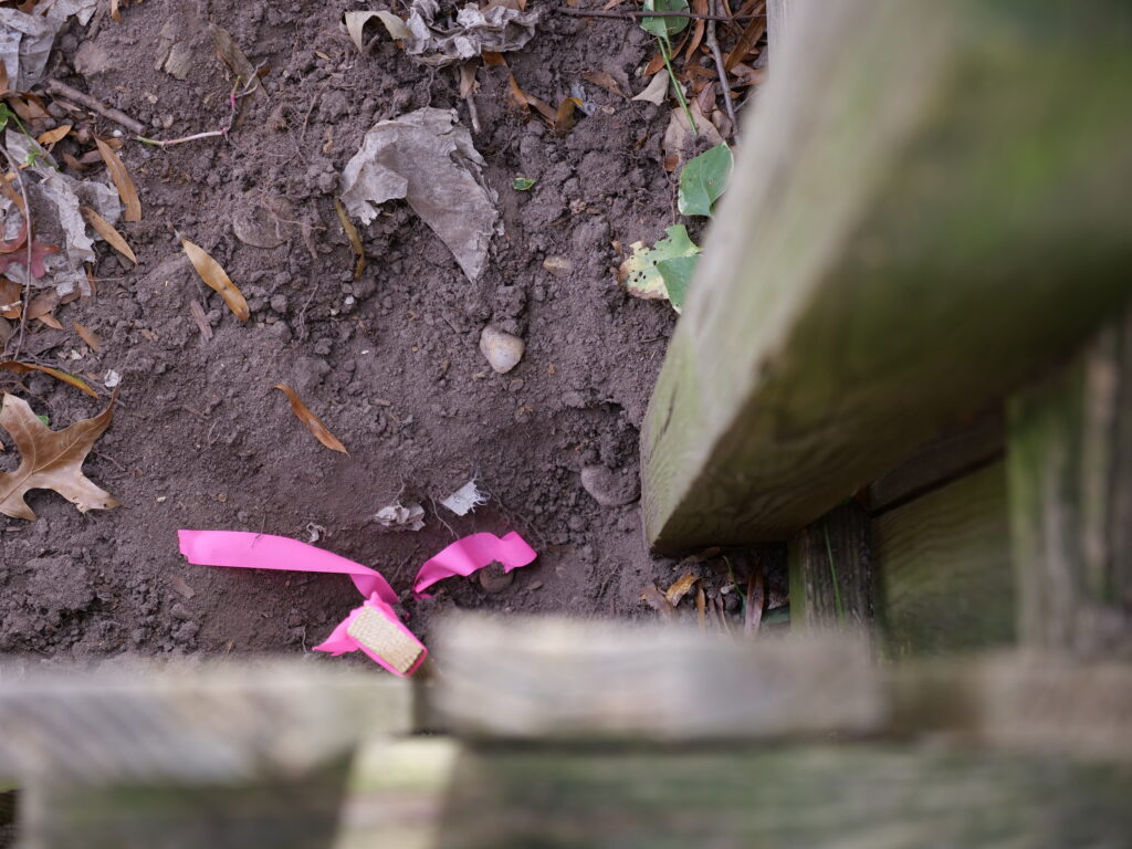 Virginia Fence Survey