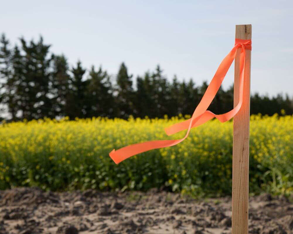 land surveying virginia