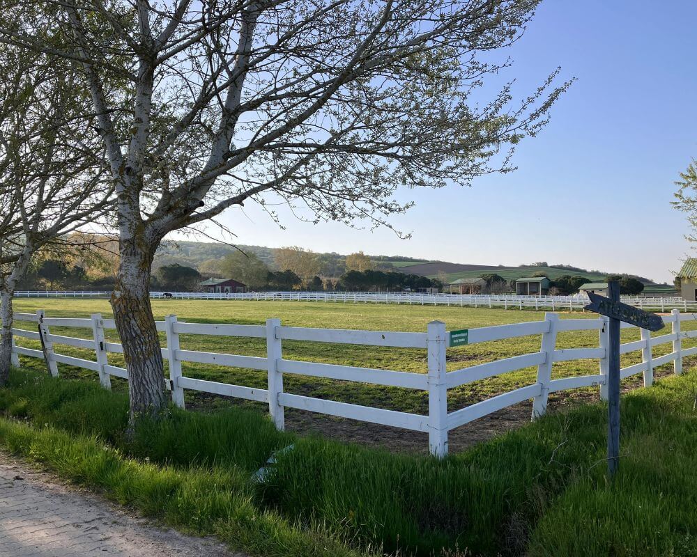 land survey for fence