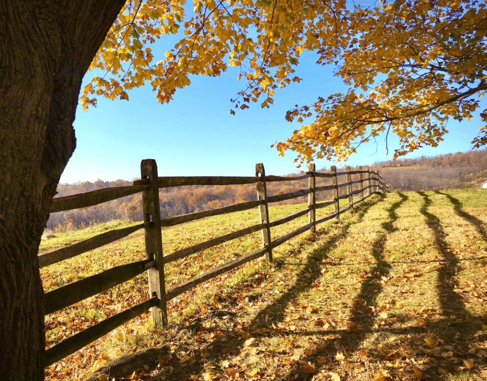 land survey before fence